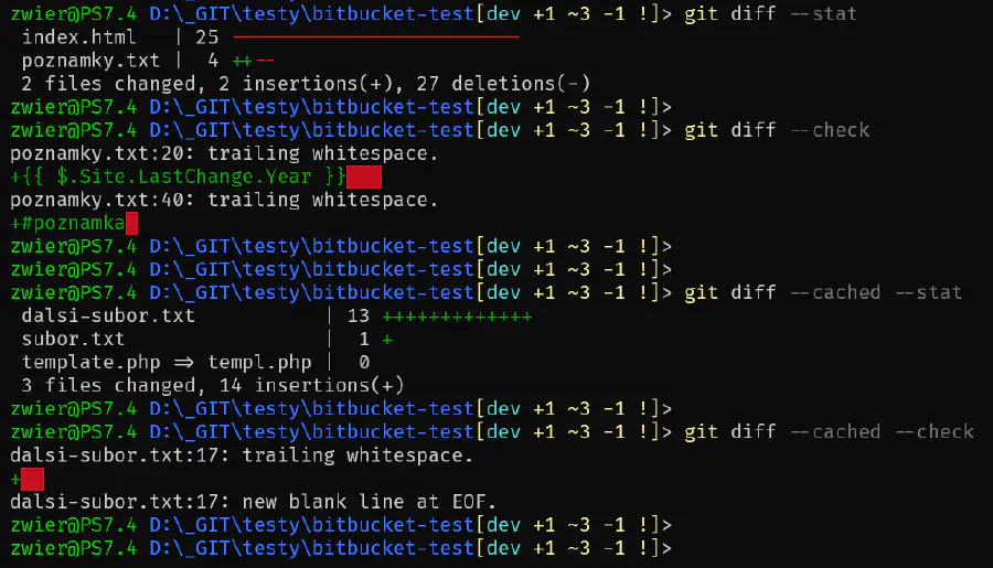 git diff &ndash;check